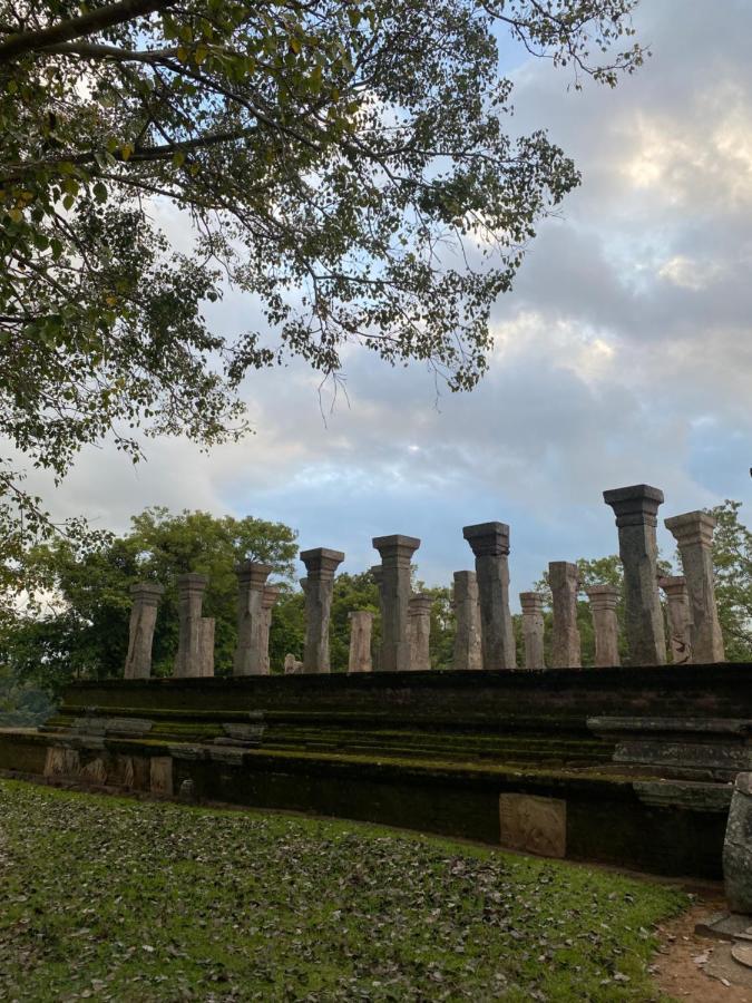 Royal Nest Panzió Polonnaruwa Kültér fotó
